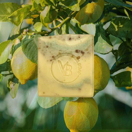 Translucent yellow Lemon Haven soap bar with natural botanicals, shown in front of fresh lemons on the tree.