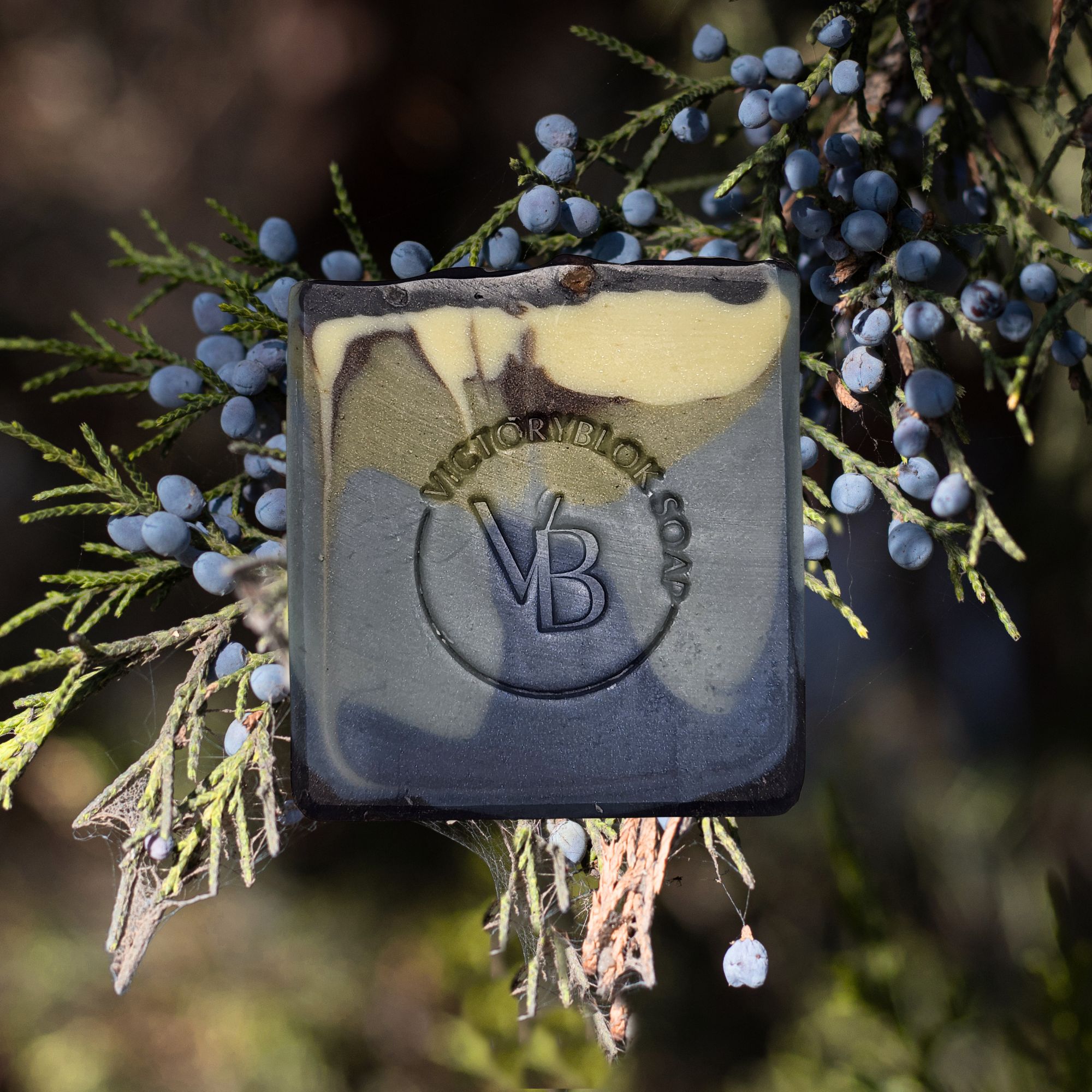 Earth Breath natural clay soap bar with marbled charcoal, green, and blue swirls surrounded by juniper berries.
