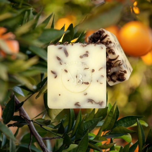 Creamy artisan soap bars with botanical flecks resting among orange tree leaves and fruit, featuring a stamped VB logo.